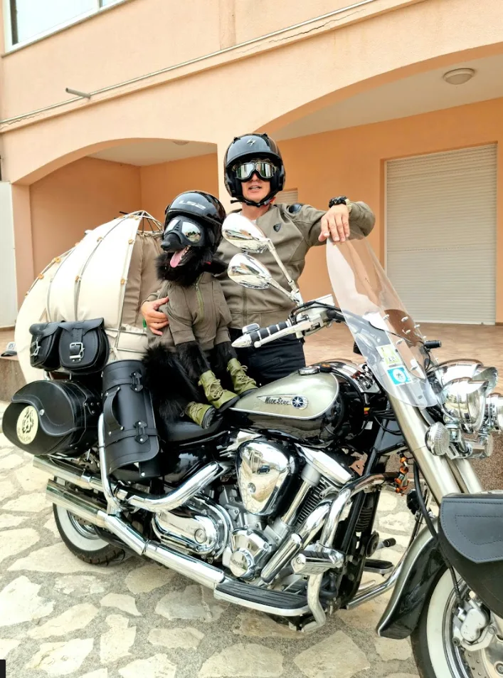 Bagażnik do przewozu psa na motocyklu